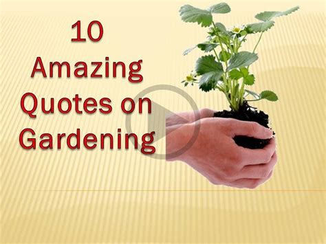 Ten Quotes to make you fall in love with Gardening (With images) | Gardening quotes ...