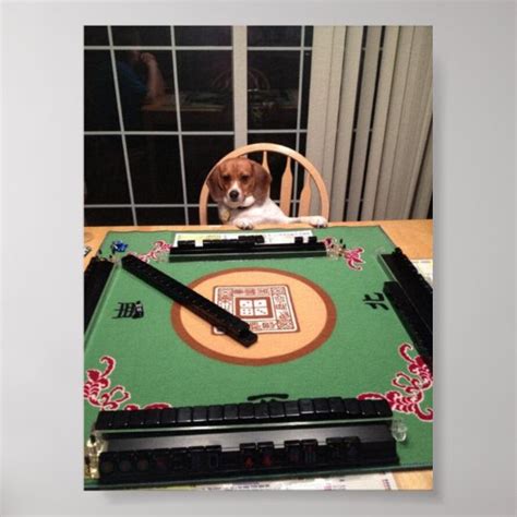 Dog Plying Mahjong Poster | Zazzle.com