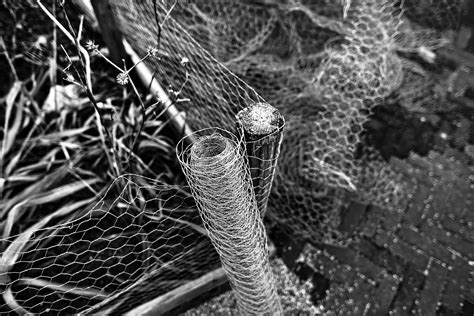 Chicken Wire Netting - Free photo on Pixabay - Pixabay