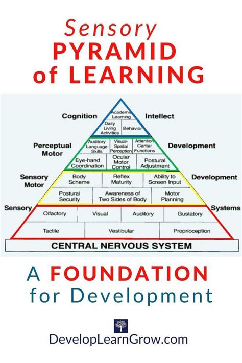 The sensory pyramid of learning – Artofit