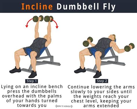 Dumbbell Bench Press Vs Dumbbell Flyes at Ted Hicks blog