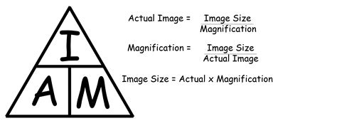 Microscope Magnification Calculation