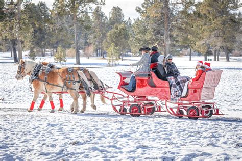 Take a Real Horse-Drawn Sleigh Ride Though Oregon's Winter Wonderland