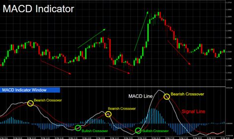 The Best MT4 Indicators & Expert Advisors For Forex Trading