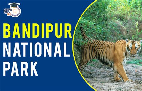 Bandipur National Park, History, Location, Flora and Fauna