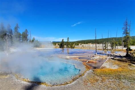 White Dome Geyser + Waiting for it to erupt in Yellowstone National Park... 🌋 Wyoming travel ...