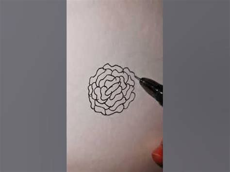 Tutu#Alma zarza#easy flower drawing trick#new#shorts - YouTube