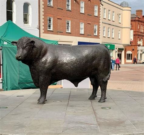 Street Public Decoration Bronze Bull Sculpture for Outdoor