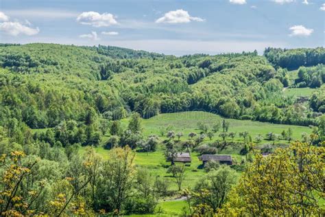 Village Houses by the Forest Stock Image - Image of yellow, grass ...