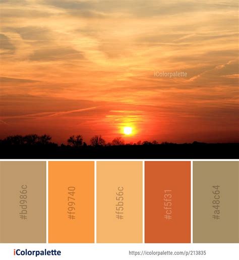 Color Palette ideas from 1479 Sunrise Images | iColorpalette | Sunset color palette, Sunrise ...