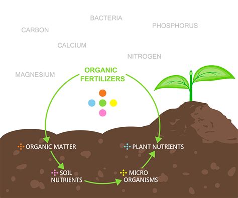 What are Organic Nutrients - Global Garden