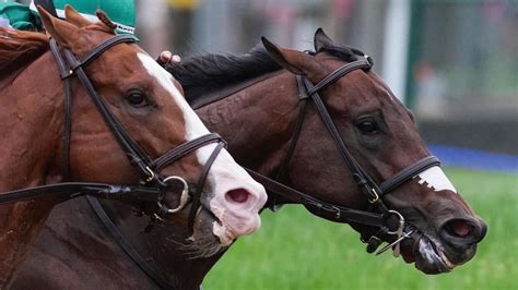 2023 Preakness Stakes predictions, odds, date, contenders: Expert who ...