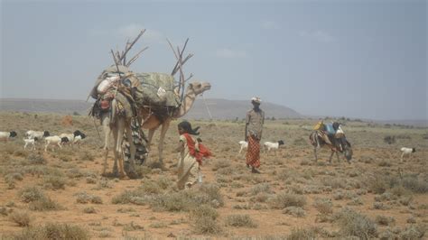 Somaliland Archives - Humanitarian Aid & Relief