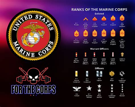 Ranks in the Marines | Enlisted and Officers Ranks Described! - For The Corps