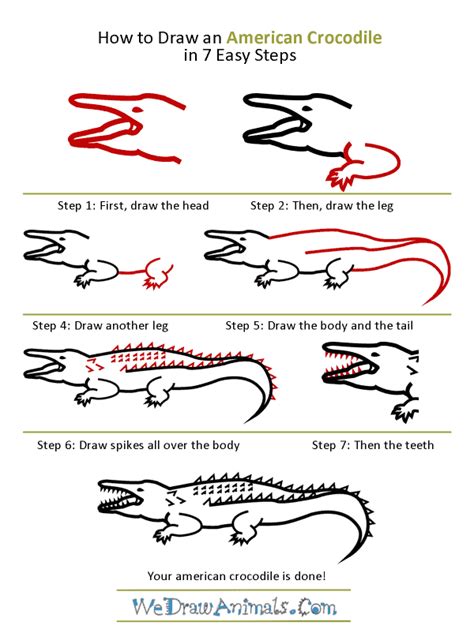 How to Draw an American Crocodile