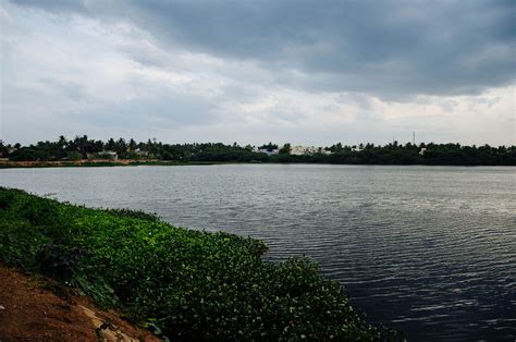 Chitlapakkam Lake - Wikipedia