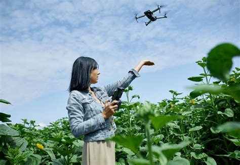 L'avenir prometteur du métier de pilote de drone - AFE Drones