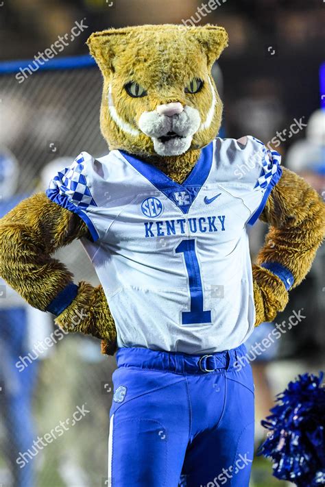 Wildcat Kentucky Mascot During Game Between Editorial Stock Photo ...