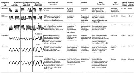 Normal Pediatric EEG: Neonates and Children | Thoracic Key