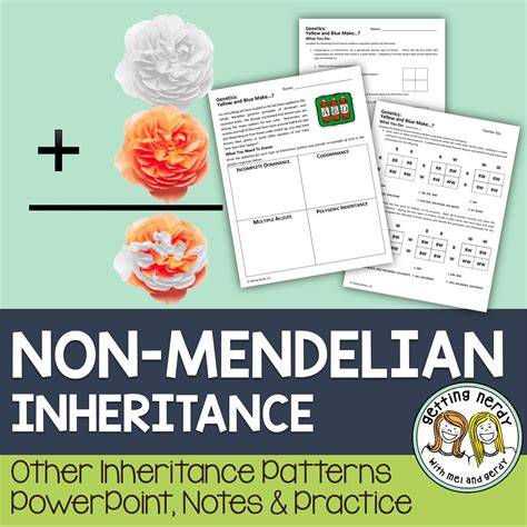 Complex Genetics: Non-Mendelian Patterns of Inheritance - PowerPoint and Notes | Biology lessons ...