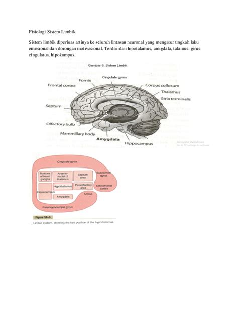 (PDF) Fisiologi Sistem Limbik | Mitra Simanjuntak - Academia.edu