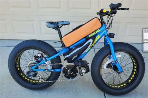 eBeast™ Mini 20” fat tire ebike 48V 3000W mid motor – etgebikes.com