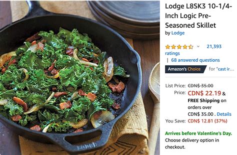 Amazon Canada Deals: Save 37% on Lodge Logic Pre-Seasoned Skillet ...