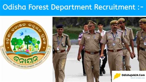 Divisional Forest Officer Recruitment 2024 - Govt Job In Odisha 2024 ...