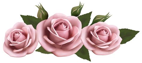 Beautiful Transparent Pink Roses PNG Picture | Pink rose png, Roses png, Flower prints