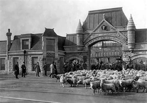 chicago stockyards 1905 | Chicago architecture, Chicago pictures ...