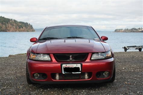 2003 Ford Mustang SVT Cobra - Pictures - CarGurus