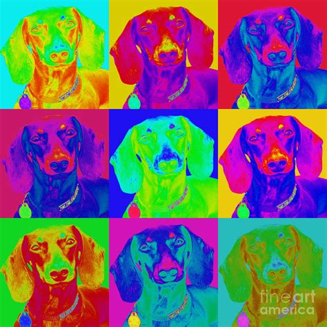 Pop Art Dachshund Digital Art by Renae Crevalle - Fine Art America