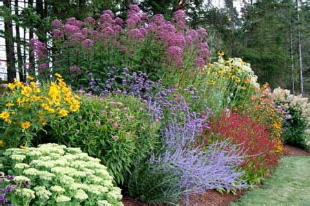 Perennial garden design, Garden flowers perennials, Perennial garden