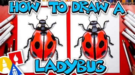 How To Draw A Realistic Ladybug - Art For Kids Hub