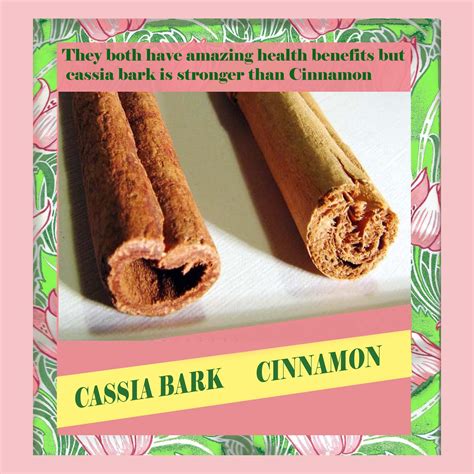 CINNAMON ANTI INFLAMMATORY ANTI DIABETIC ANTI FUNGAL ANTI VIRUS ETC ...