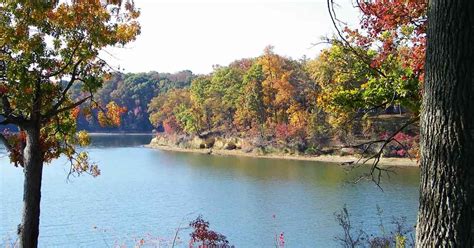 Paris Landing State Park Cabins — Tennessee State Parks