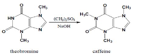 Synthesis of caffeine. (Zuo, Chen, & Deng, 2002). | Download Scientific ...