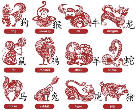 Chinese papercut Zodiac icons — Stock Vector © Ksyshakiss #91707172