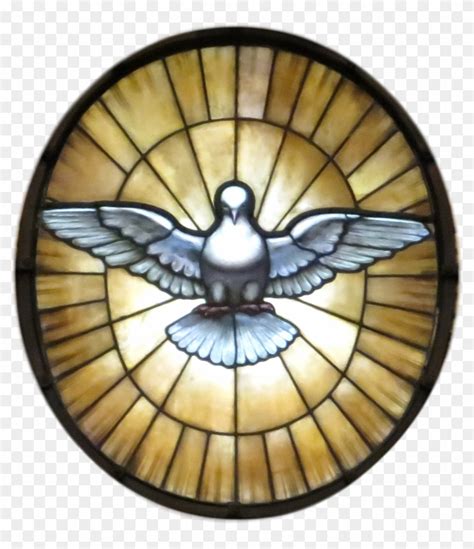 Dove Of The Holy Spirit - Holy Spirit Png, Transparent Png - 1135x1261(#630340) - PngFind