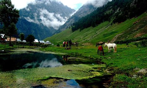 Sonmarg Tourism (2021): Best of Sonmarg, India - Tripadvisor