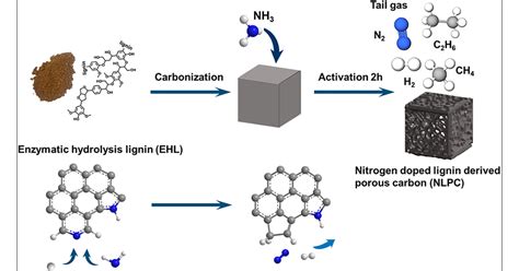 Enzymatic Hydrolysis Lignin-Derived Porous Carbons through Ammonia ...