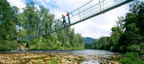 Tahune AirWalk Tickets | Tasmania - KKday