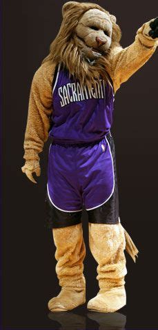 Slamson,the Lion,Sacramento Kings mascot. | Sacramento kings ...