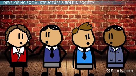 What Is Social Structure of Society? - Definition & Theory - Video & Lesson Transcript | Study.com