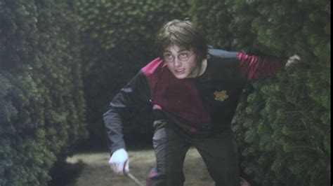 The Third Task - Harry Potter and the Goblet of Fire HD - YouTube