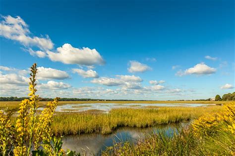 Discover Coastal Georgia: best experiences of the scenic barrier islands - Lonely Planet