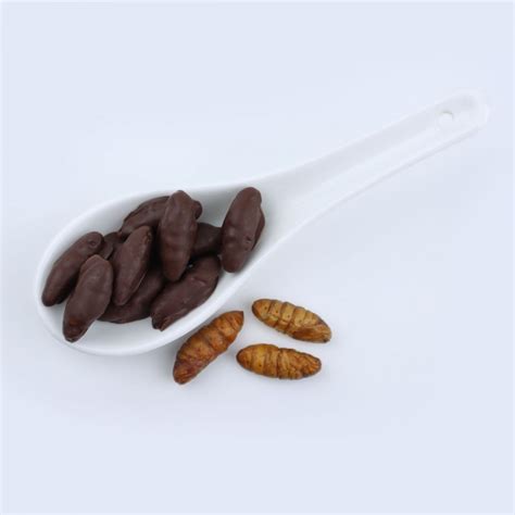 Chocolate Covered Silkworm Pupae - Delicious Sweet Insects