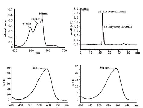 Characterization of purified phycoerythrin and phycoerythrobilin. | Download Scientific Diagram