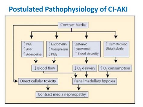 Contrast Induced Nephropathy