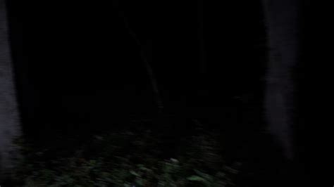 Walking Through Scary Woods At Night Stock Footage SBV-338961852 - Storyblocks